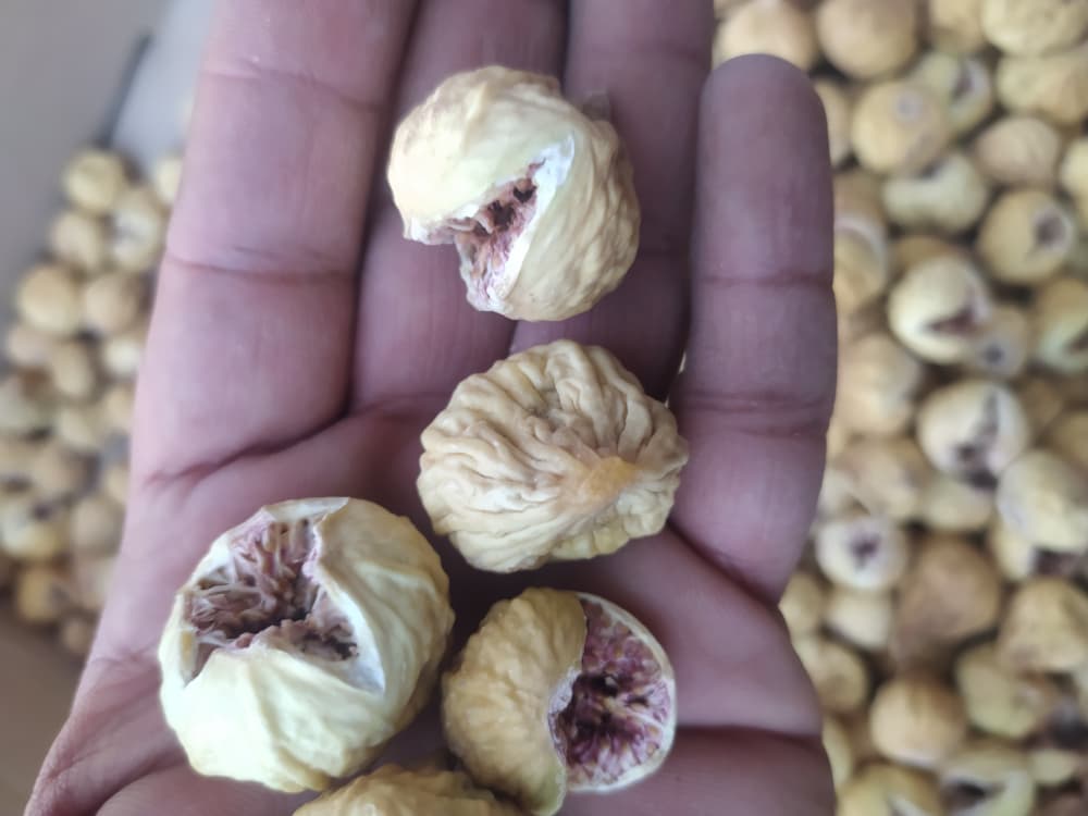 تصویر 1 از لیست قیمت انجیر خشک صدیک متوسط (AA) + خرید مستقیم